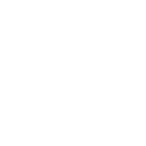 FlyDigital